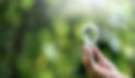 hand-holding-light-bulbs-and-growing-plants-enviro-2022-06-10-05-56-50-utc.jpg