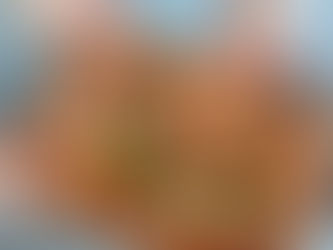 İtalyan Pizza Eğitimi: Lezzetli Bir Yolculuğa Çıkın!