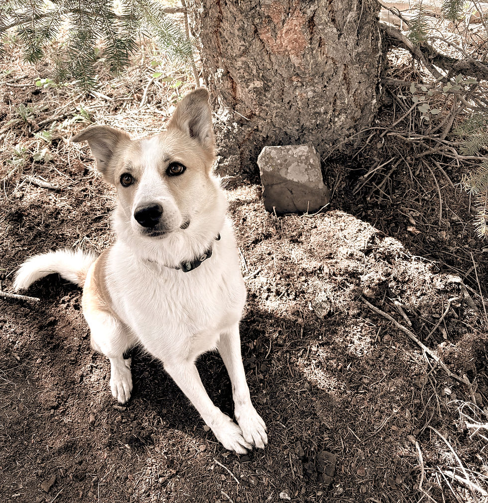 I Hope You Find Your Blessing