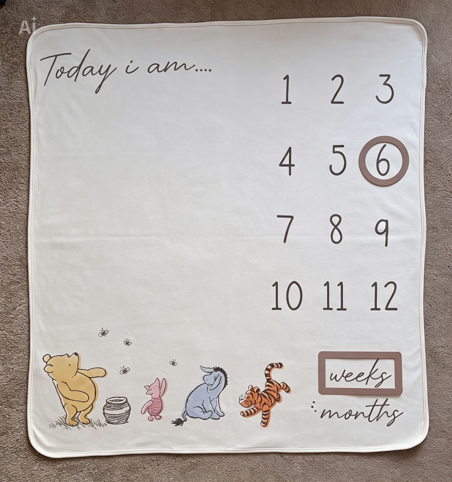 Winnie The Pooh & Friends Milestone Blanket