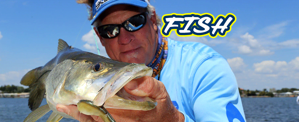 Fish With Mogan Man Sweepstakes
