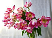 WhatsApp Image 2024-05-04 at 9.42.05 PM (5).jpeg