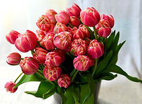 WhatsApp Image 2024-05-04 at 9.42.05 PM (1).jpeg