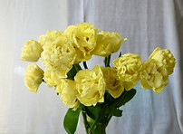 WhatsApp Image 2024-05-04 at 9.42_edited