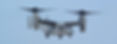 vector-banner-revised12.jpg