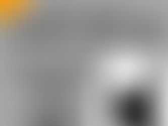 Martial Arts Try Out Day