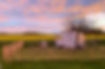 1687B728-2D67-4BA3-9A49-0AF481D250D5_edited.jpg