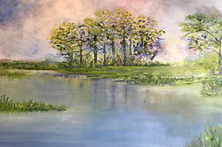 Landscapes Collection