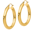 gold hoop_edited_edited.png