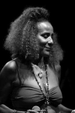 Cartola Ninguém Esquece CCSP