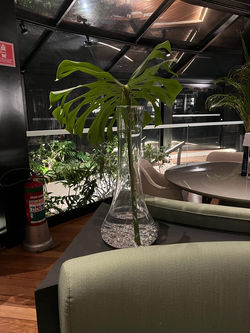 Evento Corporativo Nissan Mulheres - Julho 2023