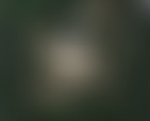 JOURNEE D’ETUDES 2014 à LA SOUTERRAINE (23)