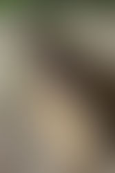 Conférence sur les fouilles de Grandmont