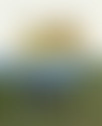 Sortie librairie à paraître "Les Tours de Merle"