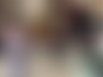 Les ostensions 2016 en préparation