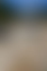 Les fouilles 2015 à Grandmont