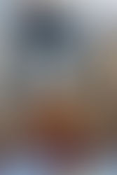 Le Congrès de la Société Française d'Archéologie a débuté à Limoges