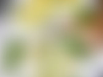 Roll-Omelette mit grünem Spargel