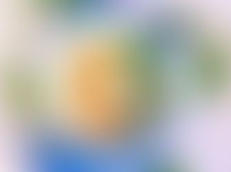 Chinesisches Congee aus Raya