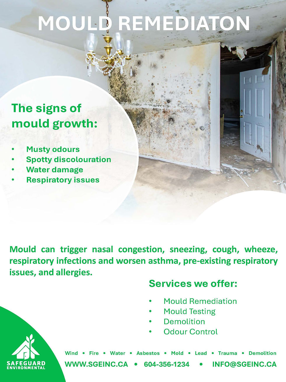 Mould Remediation.jpg