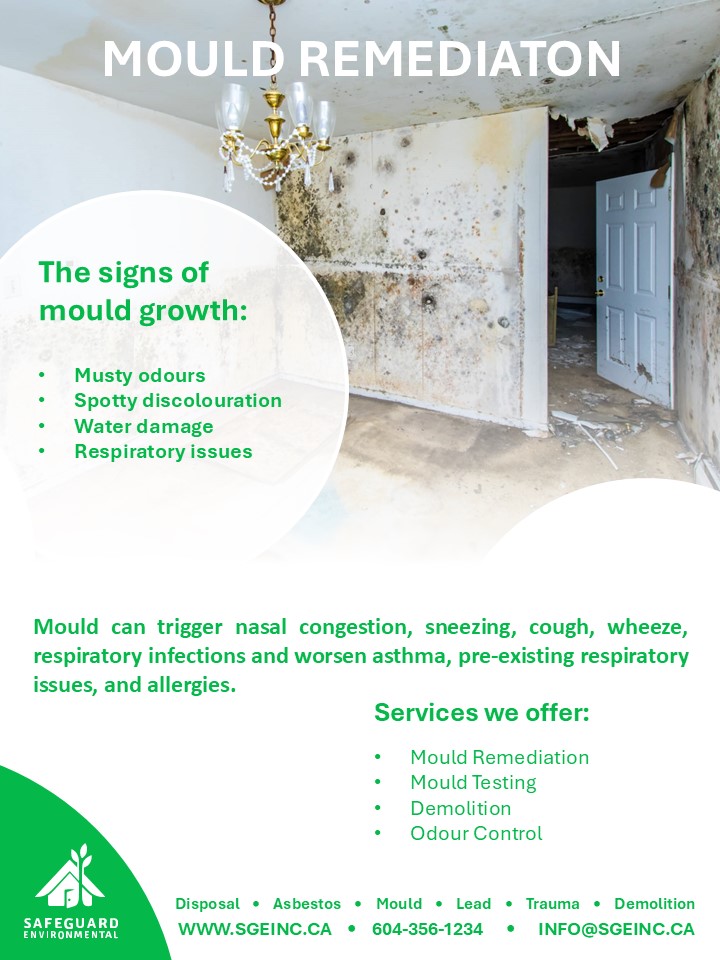 Mold Remediation