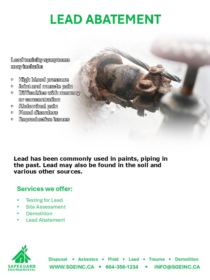 Lead Abatement
