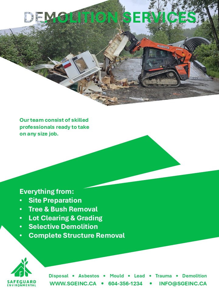 Selective Demolition