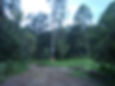 Bosque Santuario de la Luciérnaga