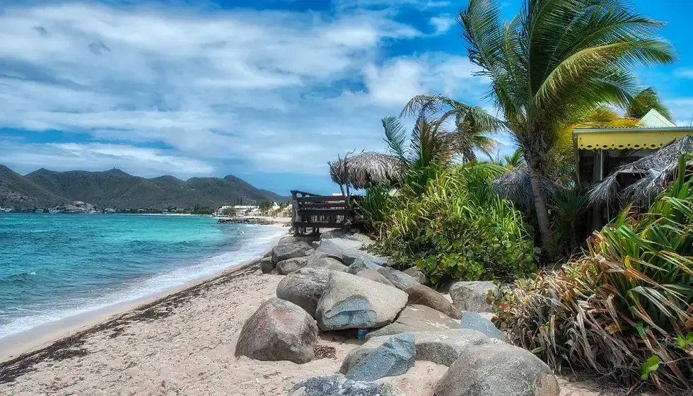 Bringing the Caribbean Aboard: Perfect Ceviche from Sint Maarten for Your Jet