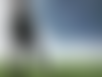 World Cup 2019: time to reflect on what we do next