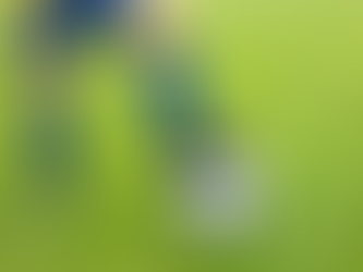 Do 10 football federations deliver bang for our buck?