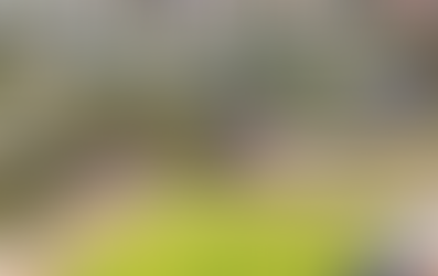 Football gets its fair share from latest federal sports grants