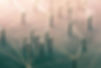 shutterstock_386819107 PS1.jpg
