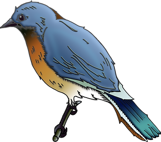 bird2.png