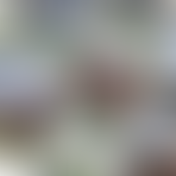 How Catalogue Alignment Could Set Off An Infill Boom