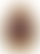 2012 Canadian Forces Music Branch Auditions