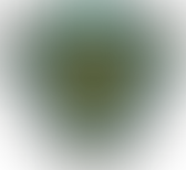 Updates: PPBSO AGM Recap, Next Knockout & Other Events