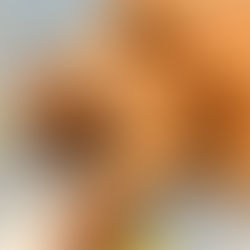 會陰疝氣修補手術(內有手術照片請慎入)