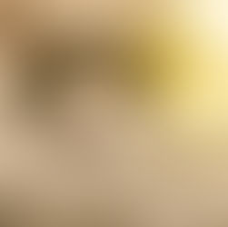 幼貓的嚴重黴菌感染