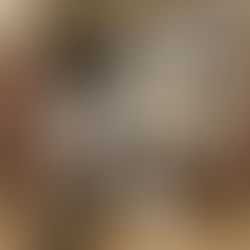 右前肢的嚴重外傷(內有手術照片請慎入)