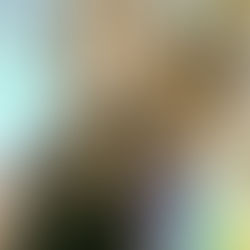 外觀不明顯的貓咪齒吸收病例