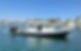 copyright hydra marine gipsy danger_edited_edited.jpg