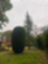 round hedge.HEIC
