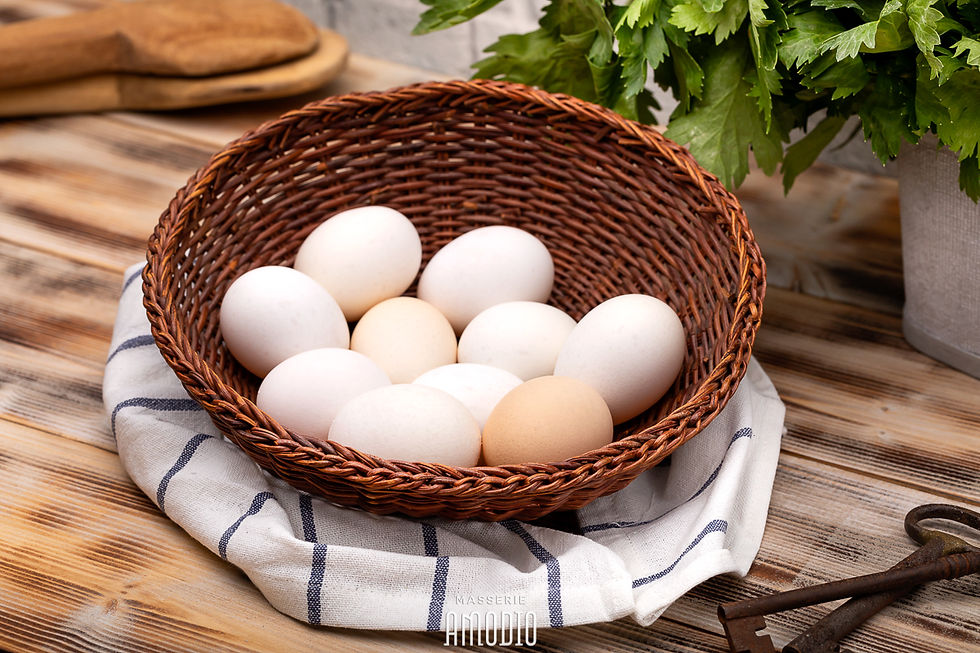 Uova di galline Allevate a Terra