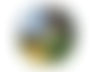 The Four Ecosystem Processes: Soil Health’s Greatest Hits