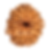 Nine Mukhi Rudraksh Bead - Nepali