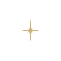 Golden Star on Black Background_edited.png