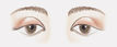 Como levantar olhos caídos