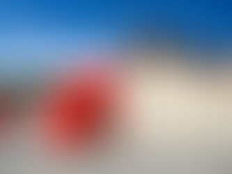 The Guardian of Reverence | Enduring Power of Sri Lanka's Temple of the Tooth