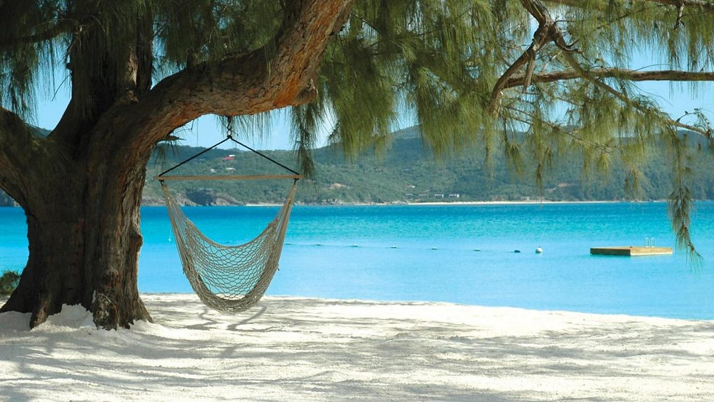 guana-island-1